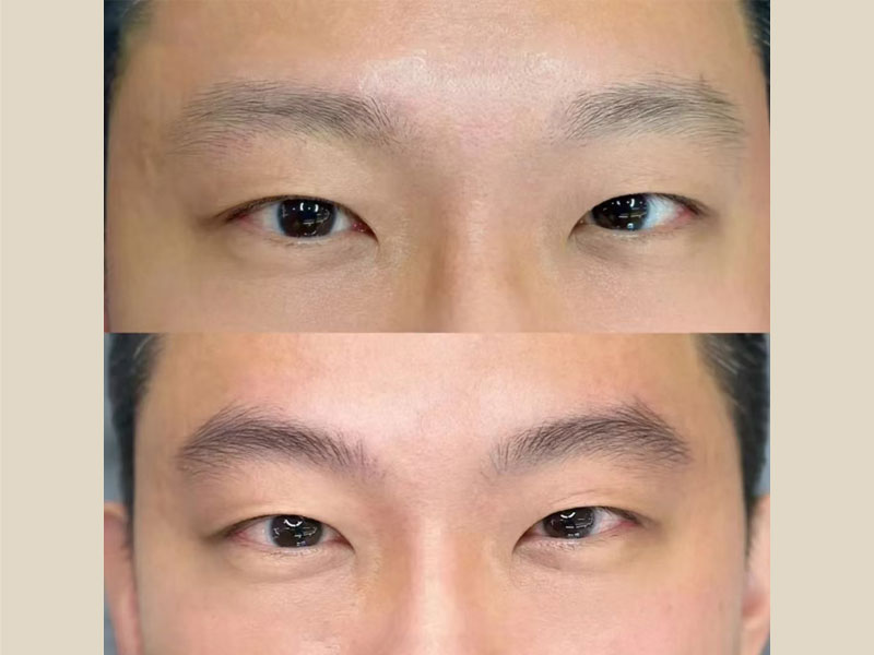 双福野生眉