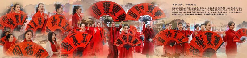 1769660507513253.jpg g640-(2).jpg